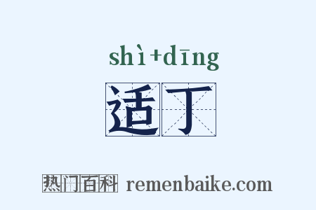 适丁是什么意思的图片